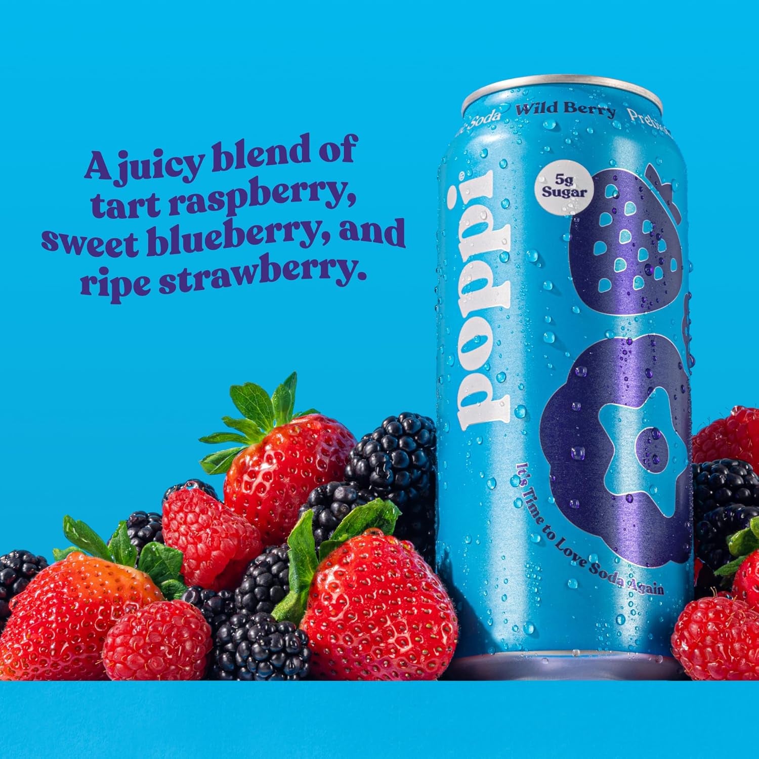 16Oz Sparkling Prebiotic Soda, Beverages W/Apple Cider Vinegar, Seltzer Water & Fruit Juice, Wild Berry, 16Oz (12 Pack) (Packaging May Vary)