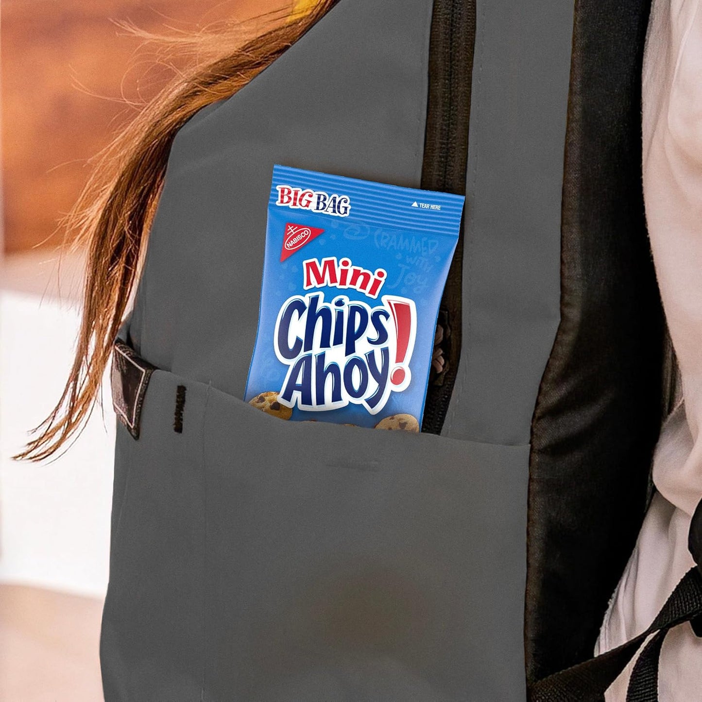 CHIPS AHOY! Mini Original Chocolate Chip Cookies, Big Bag, 3 Oz